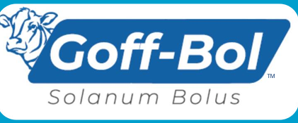 Bolos de calcio Goff-Bol para prevenir hipocalcemia